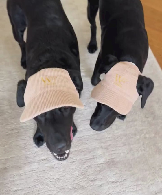 WeDogs Cap Beige